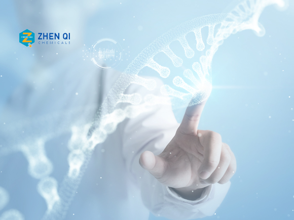 貴州真琪化工外貿(mào)獨立站建設(shè)