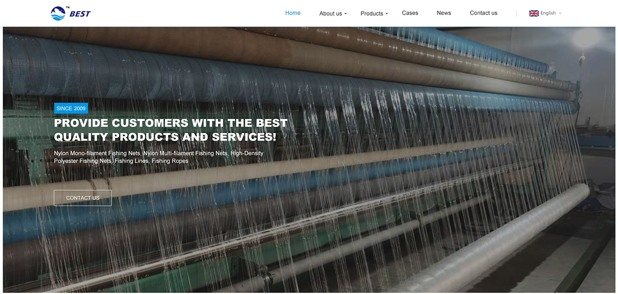 安徽巢湖佰絲外貿(mào)獨(dú)立站定制