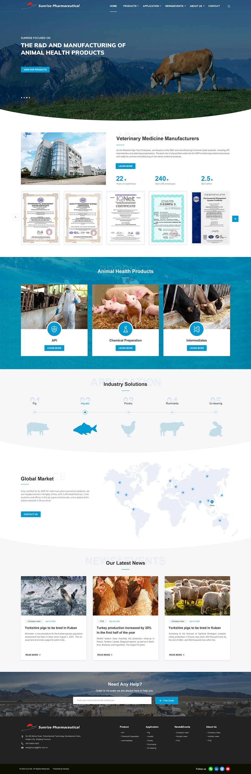 浙江日出集團(tuán)外貿(mào)網(wǎng)站設(shè)計(jì)效果圖