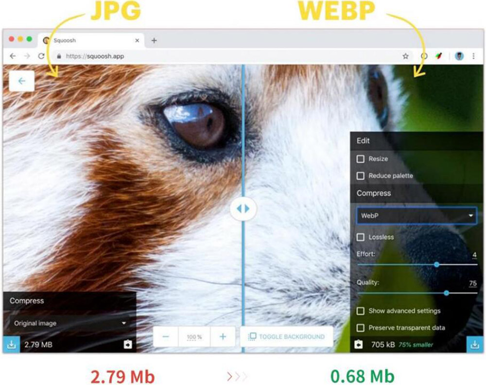 外貿(mào)網(wǎng)站運行速度