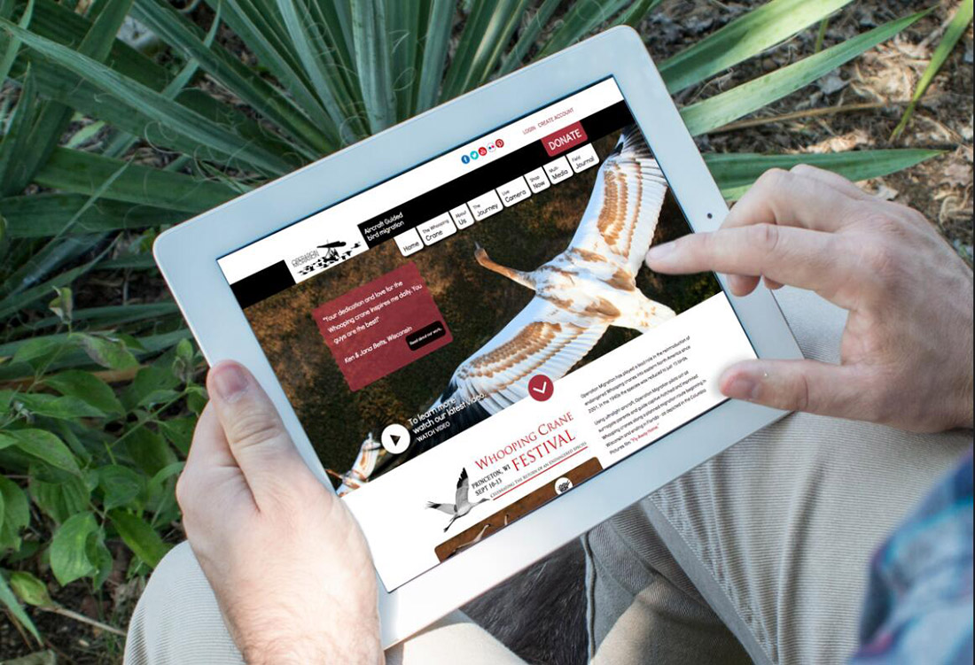 為什么要定制設(shè)計(jì)外貿(mào)獨(dú)立站